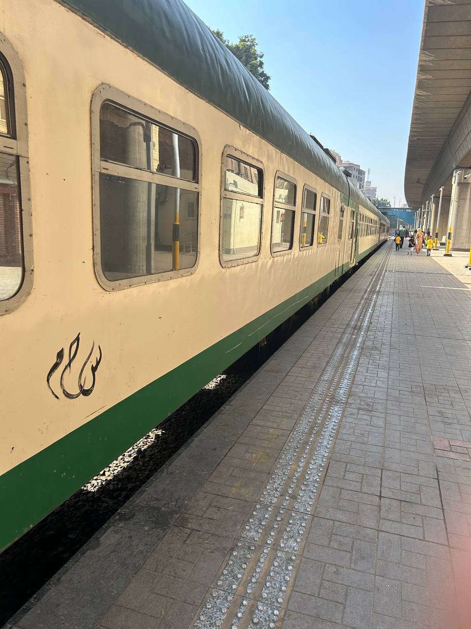 train in Egypt